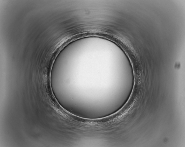 X0000099230969200805081553