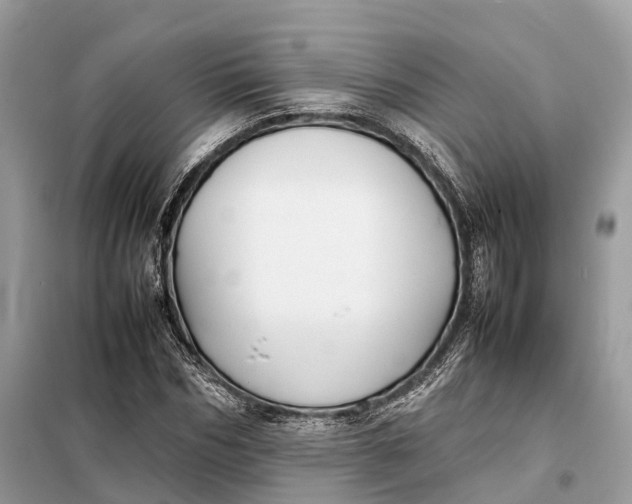 X0000099230970200805081553