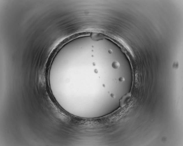 X0000099230972200805081553