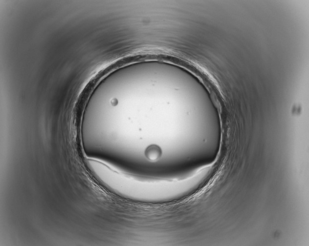 X0000099230973200805081553