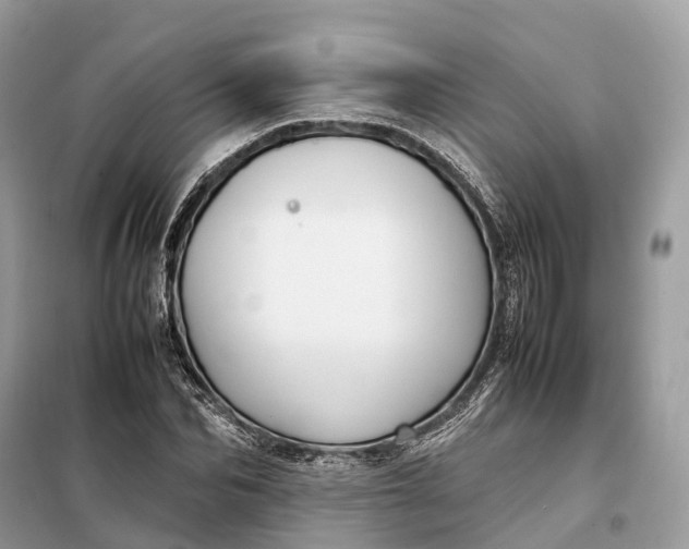 X0000099230974200805081553