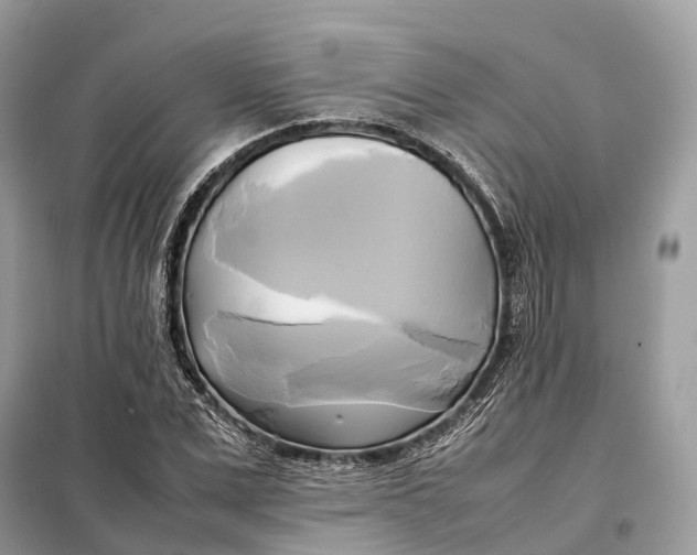 X0000099230975200805081553