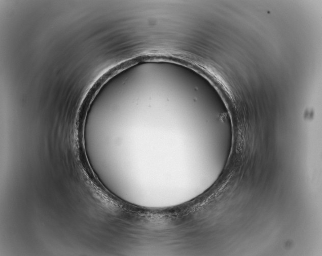 X0000099230976200805081553