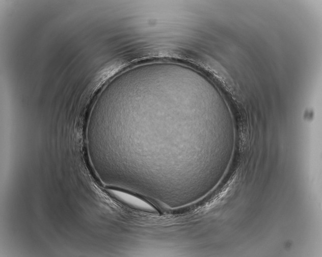 X0000099230977200805081553