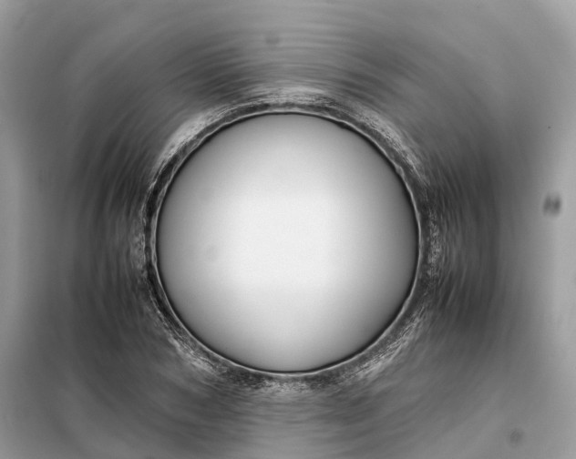 X0000099230978200805081553