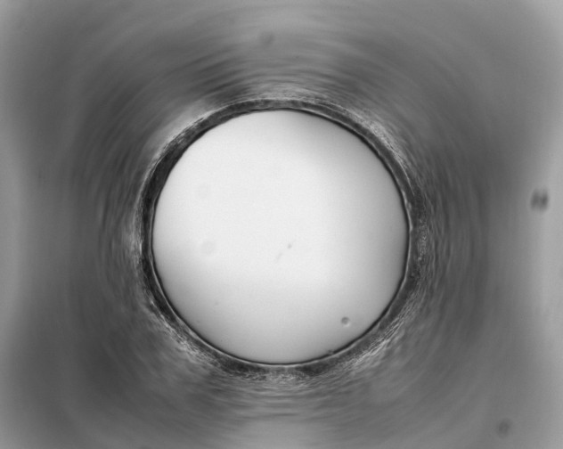 X0000099230979200805081553