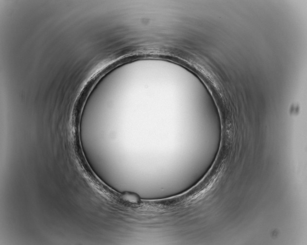 X0000099230981200805081553