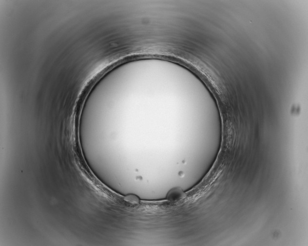 X0000099230982200805081553