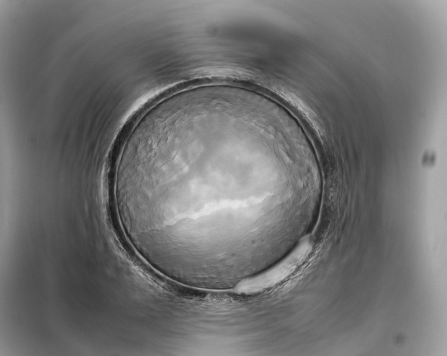 X0000099230983200805081553