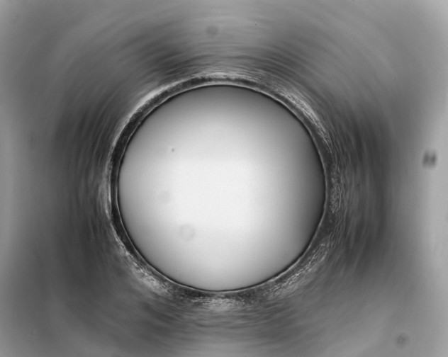 X0000099230984200805081553