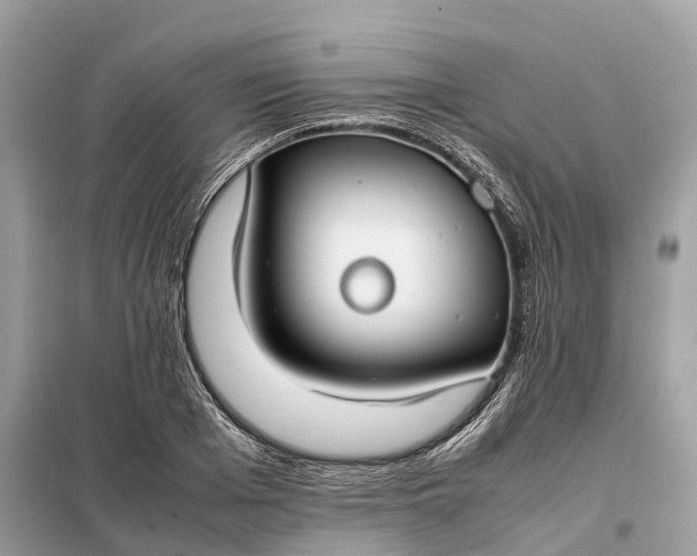 X0000099230985200805081553