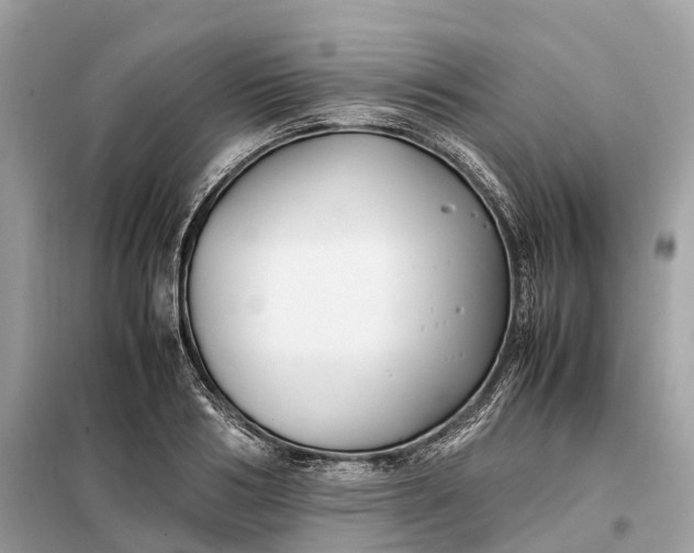 X0000099230986200805081553