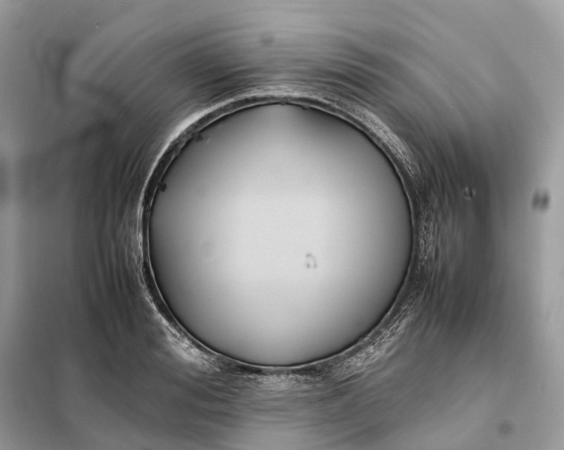 X0000099230988200805081553