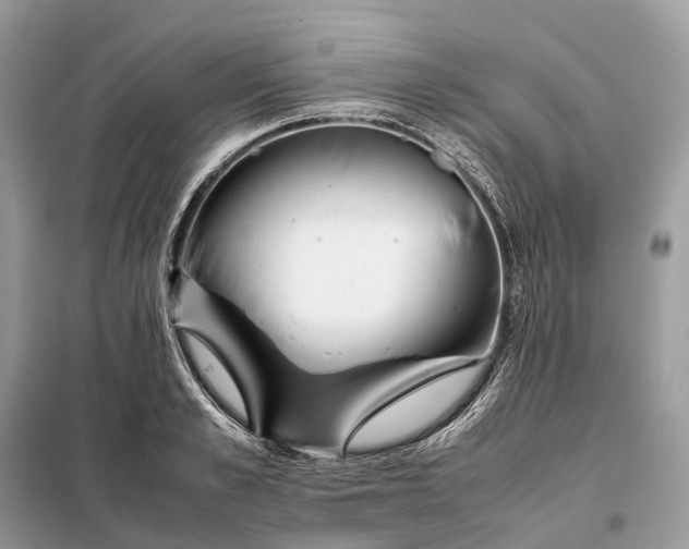 X0000099230989200805081553