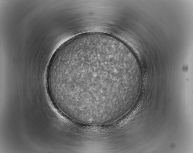 X0000099230991200805081553