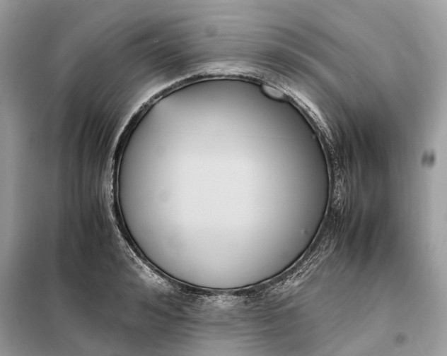 X0000099230992200805081553