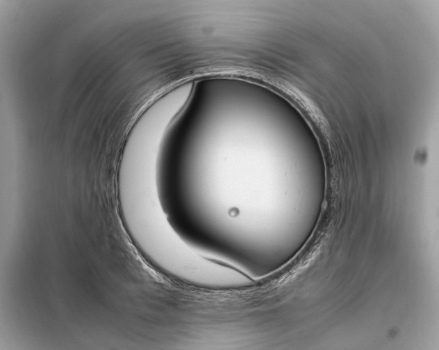 X0000099230993200805081553