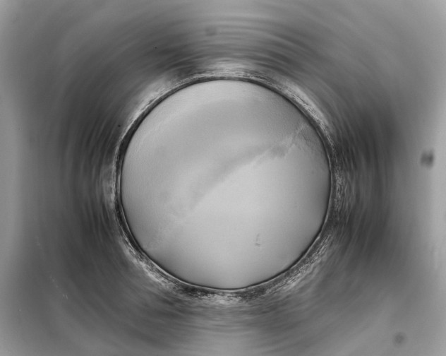 X0000099230994200805081553