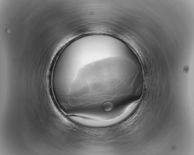 X0000099230995200805081553