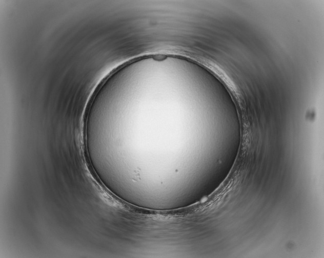 X0000099230996200805081553