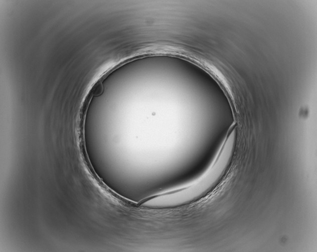 X0000099230997200805081553