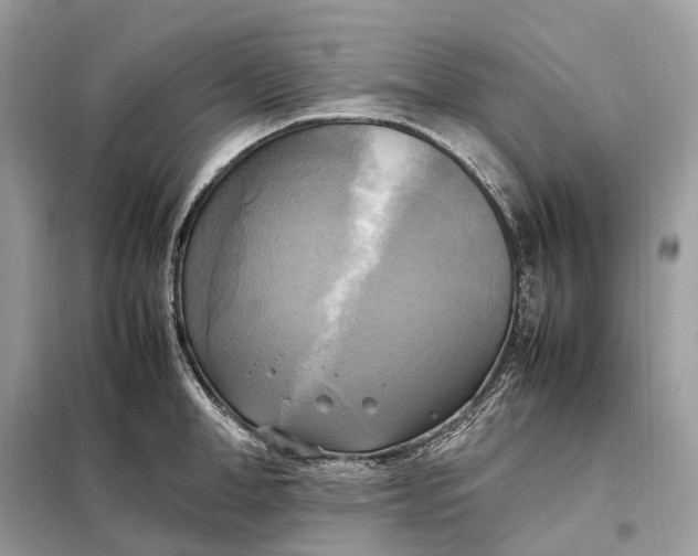 X0000099230998200805081553