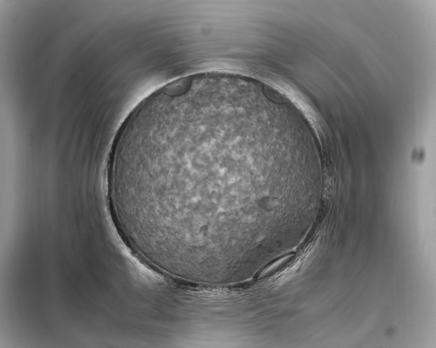 X0000099230999200805081553