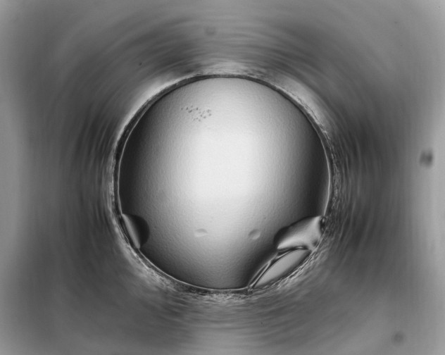 X0000099231000200805081553