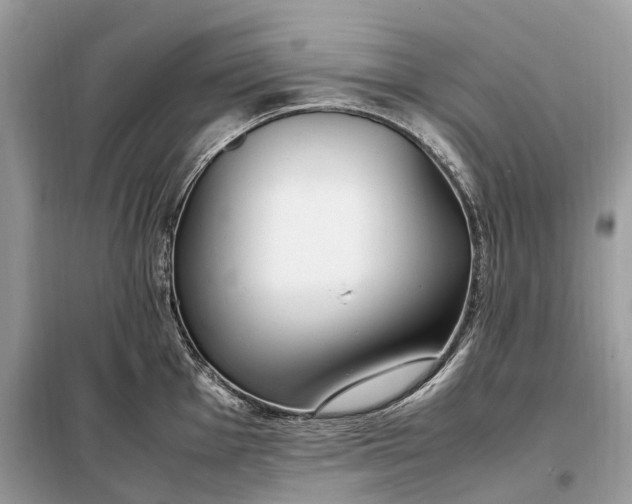 X0000099231001200805081553