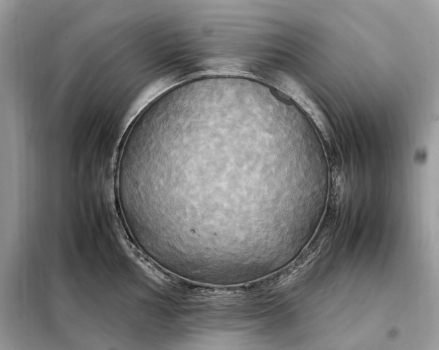 X0000099231002200805081553