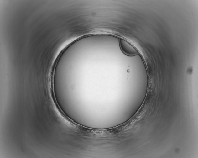 X0000099231003200805081553