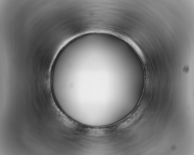 X0000099231004200805081553