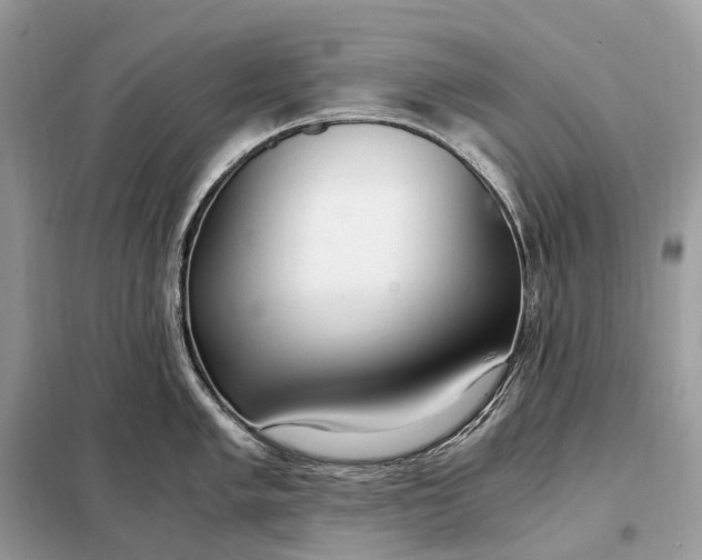 X0000099231005200805081552