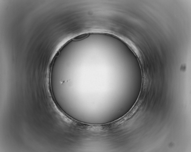 X0000099231006200805081552