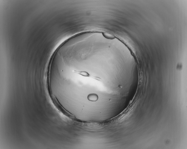 X0000099231007200805081552