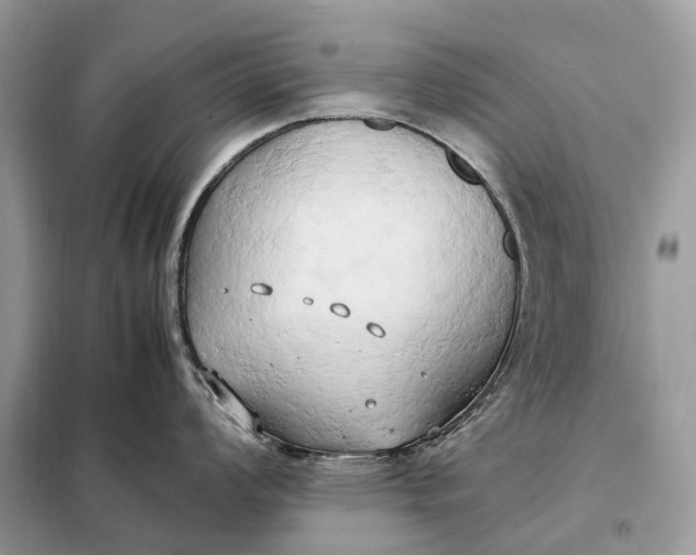 X0000099231008200805081552