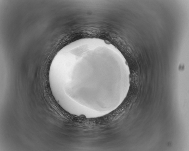 X0000099231009200805081552