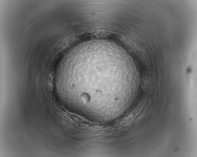 X0000099231010200805081552