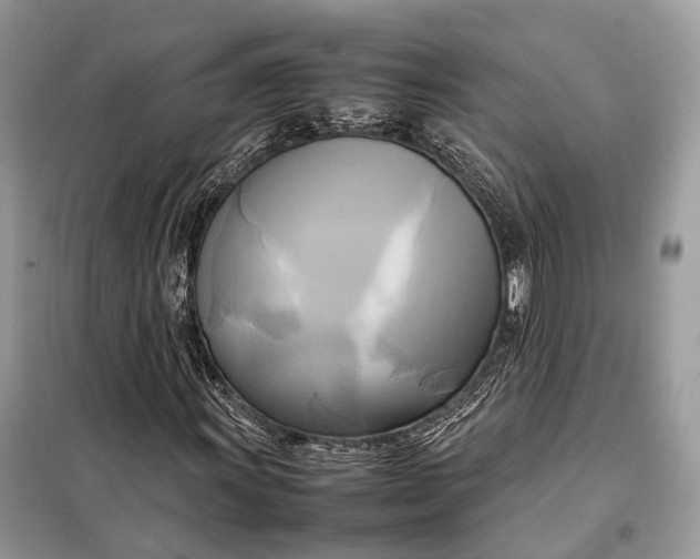 X0000099231011200805081552