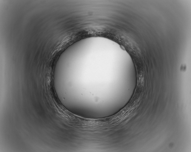 X0000099231012200805081552