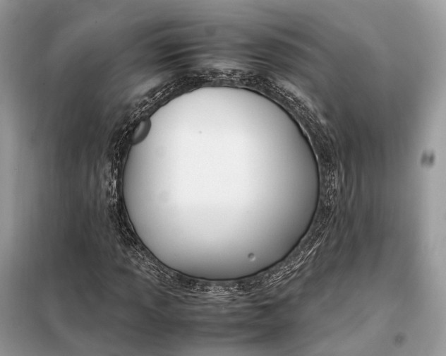 X0000099231013200805081552