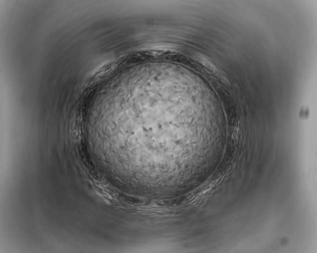 X0000099231014200805081552