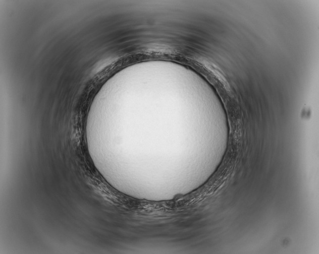 X0000099231015200805081552