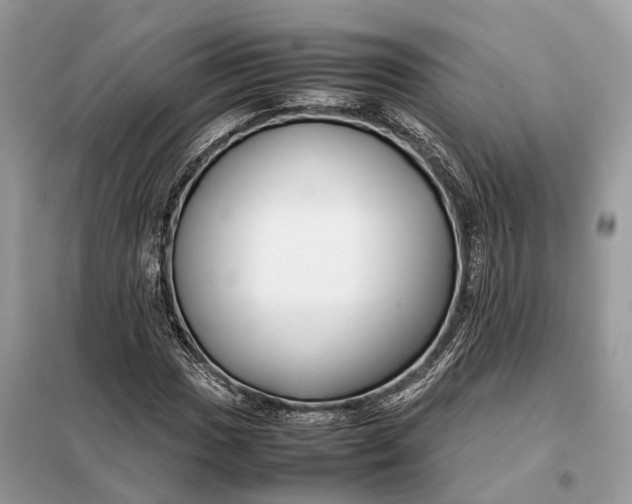 X0000099231017200805081552