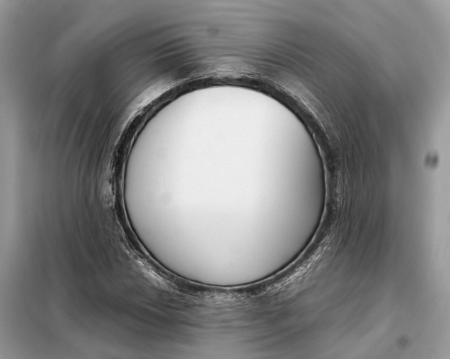 X0000099231018200805081552