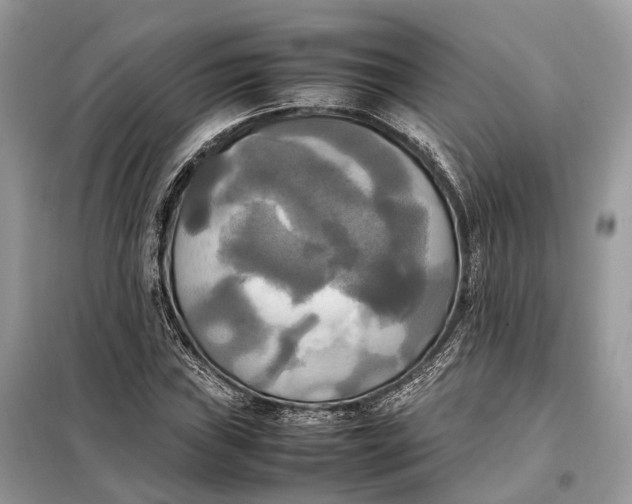 X0000099231019200805081552