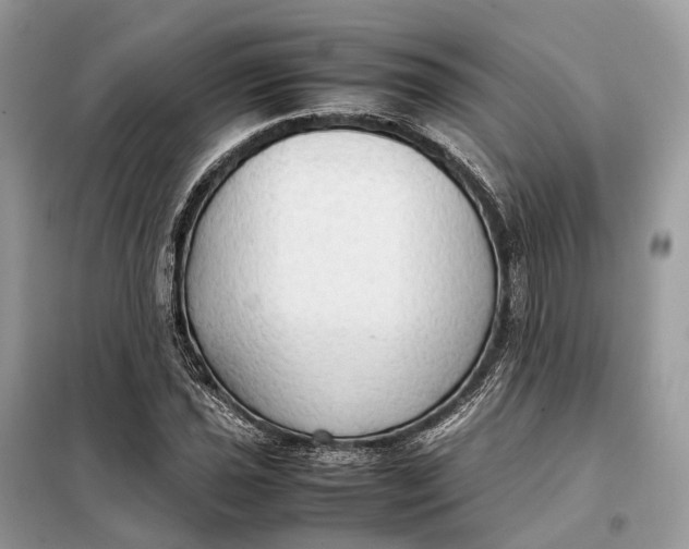 X0000099231021200805081552