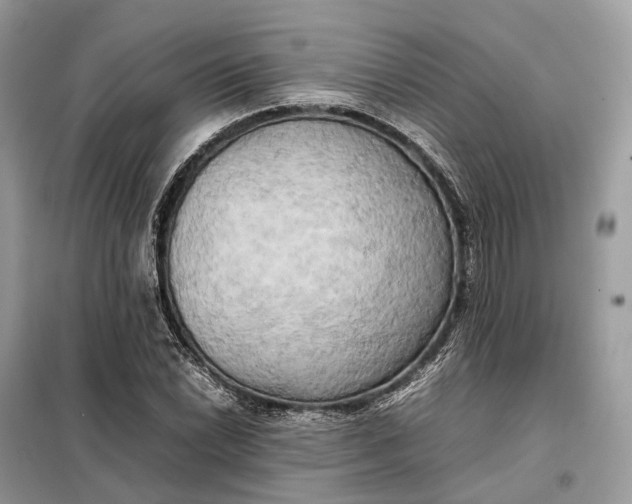 X0000099231022200805081552