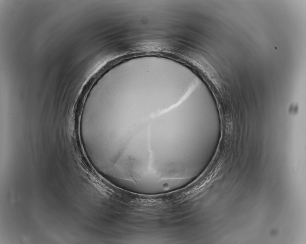 X0000099231023200805081552