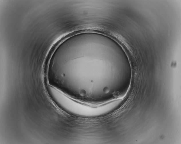 X0000099231024200805081552